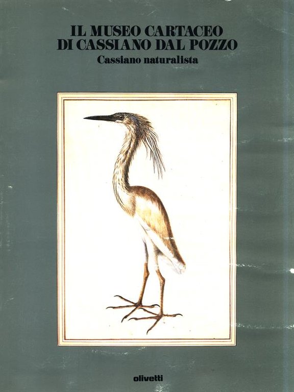 Il museo cartaceo di Cassiano Dal Pozzo