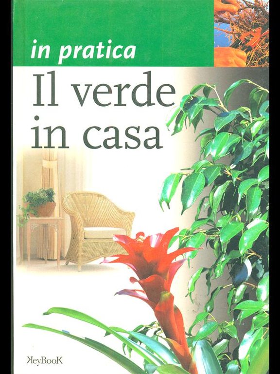 In pratica Il verde in casa