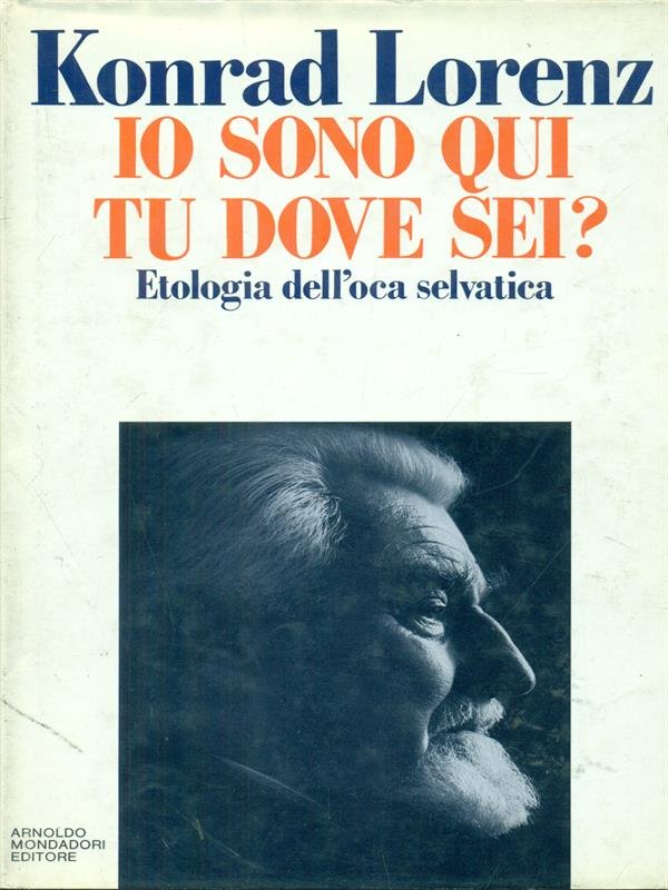 Io sono qui, tu dove sei?