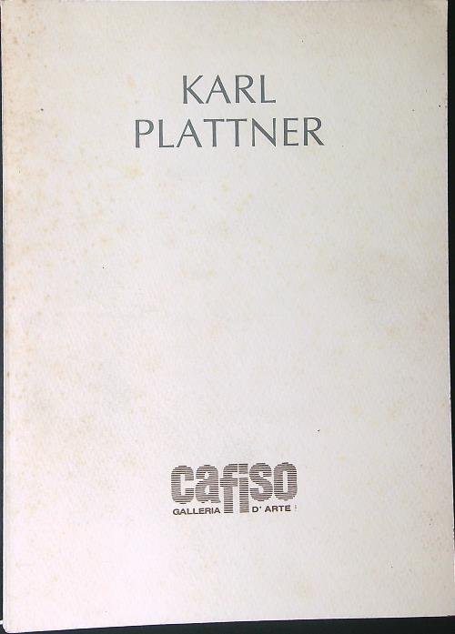 Karl Plattner