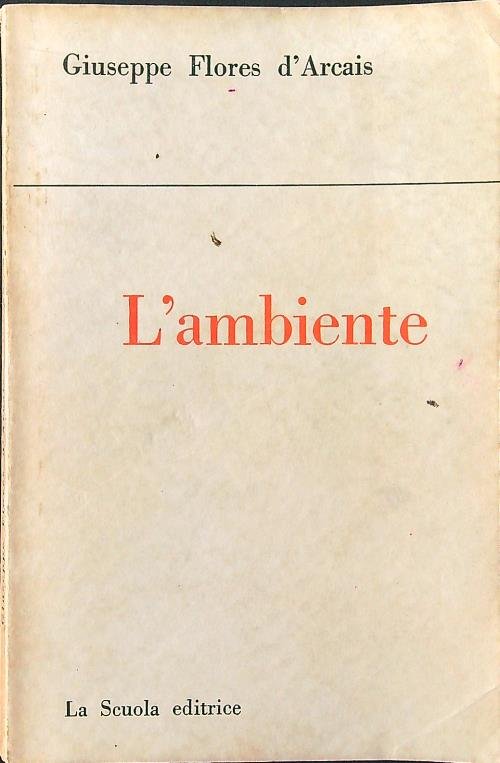 L'ambiente
