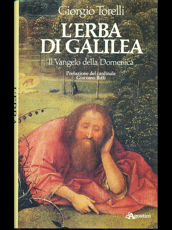 L'erba di Galilea