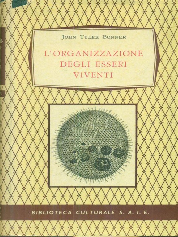 L'organizzazione degli esseri viventi