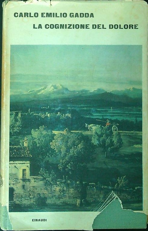 La cognizione del dolore