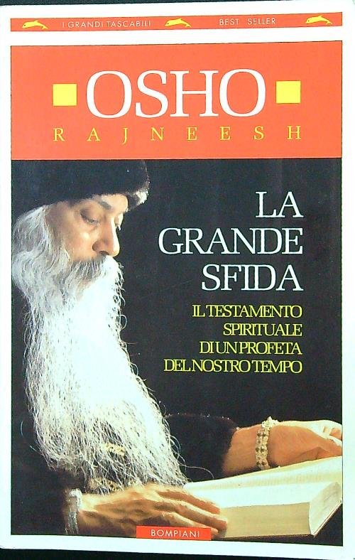La grande sfida