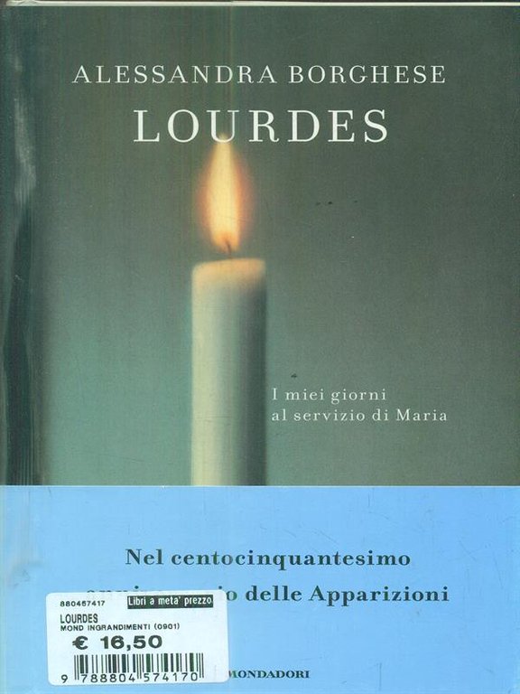 Lourdes. I miei giorni al servizio di Maria
