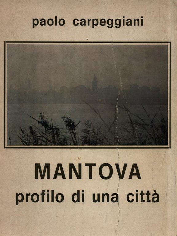 Mantova profilo di una citta'