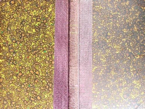 Miranda | Immagine principale