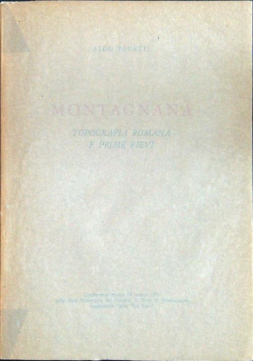 Montagnana topografia romana e prime pievi