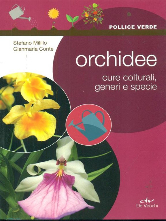 Orchidee