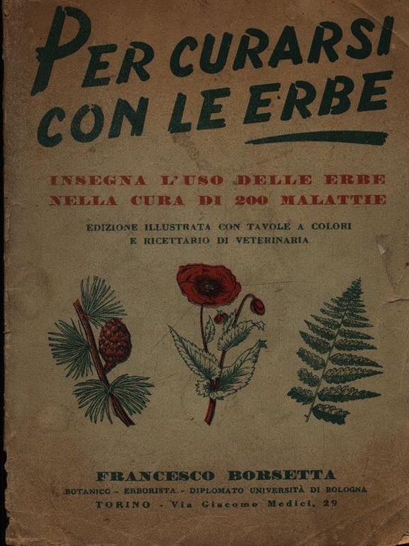 Per curarsi con le erbe