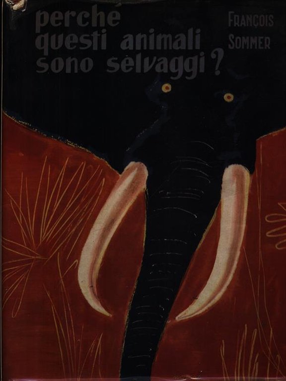 Perche' questi animali sono selvaggi?