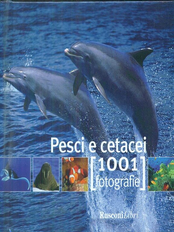 Pesci e cetacei 1001 fotografie