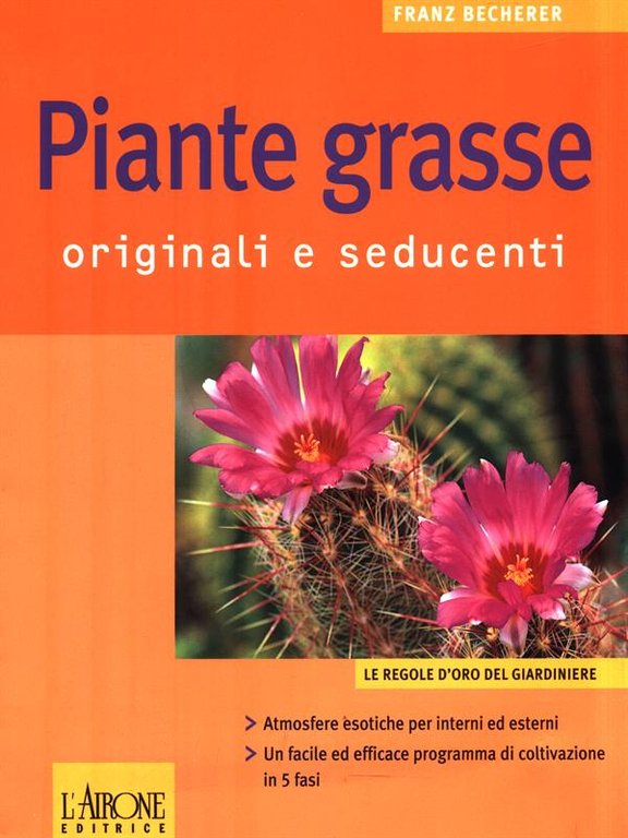 Piante grasse. Originali e seducenti