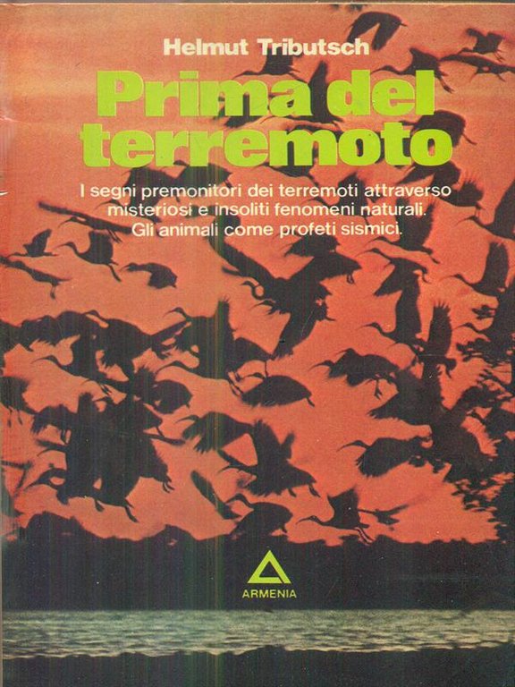 Prima del terremoto | Immagine Gallery 2