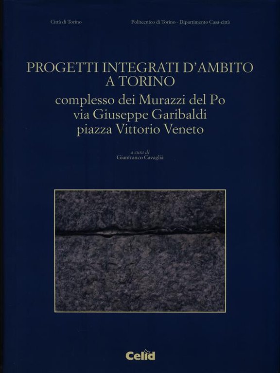 Progetti integrati d'ambito a Torino