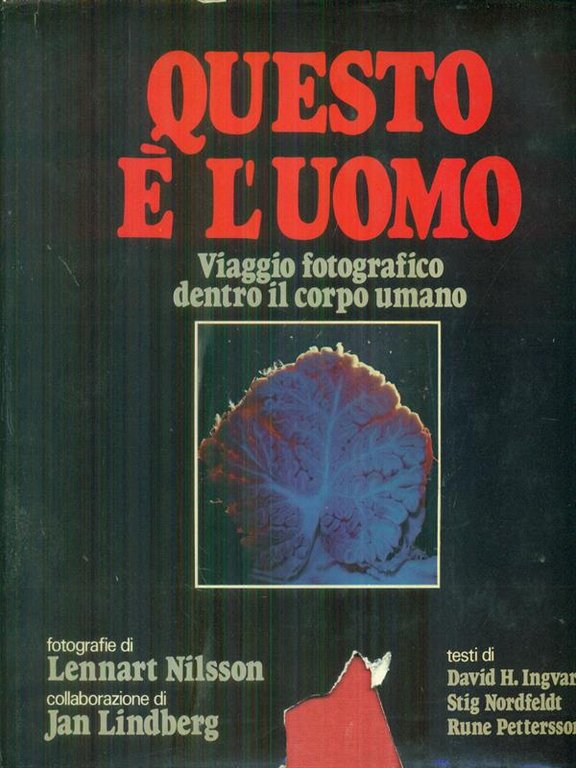 Questo e' l'uomo | Immagine Gallery 2