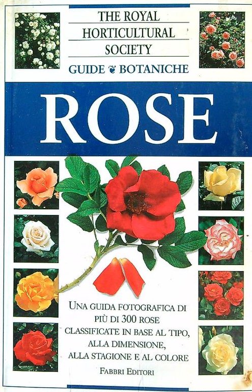 Rose