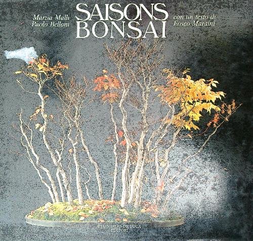 Saisons Bonsai