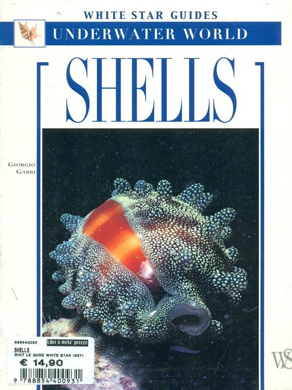Shells