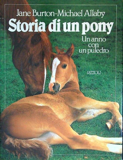 Storia di un pony