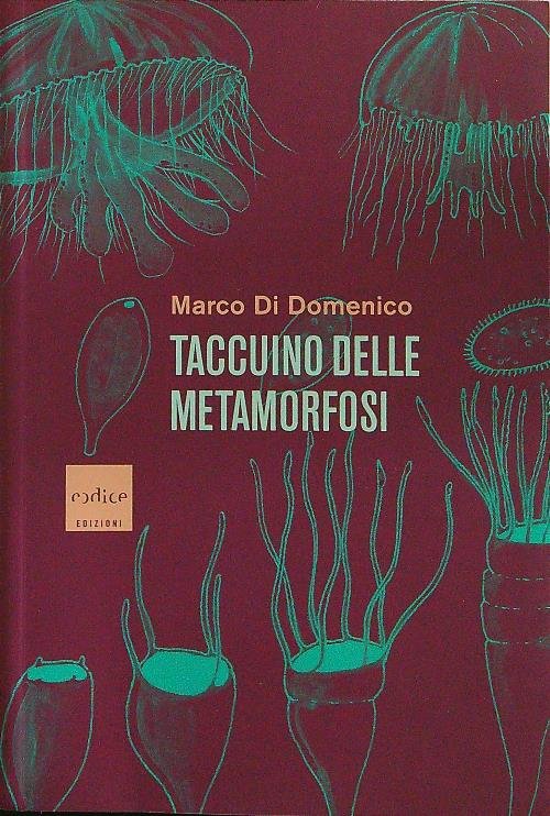 Taccuino delle metamorfosi