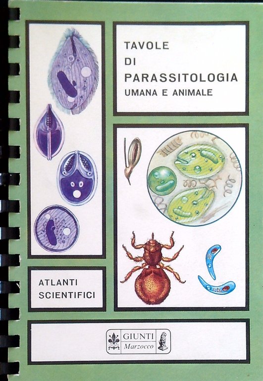 Tavole di parassitologia umana e animale