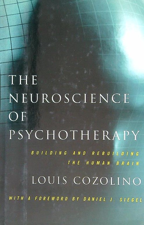 The Neuroscience of Psychotherapy