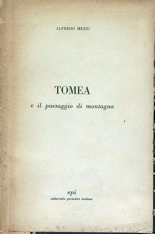 Tomea e il paesaggio di montagna | Immagine Gallery 2