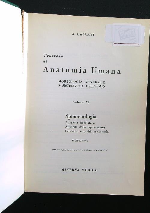 Trattato di anatomia umana VI