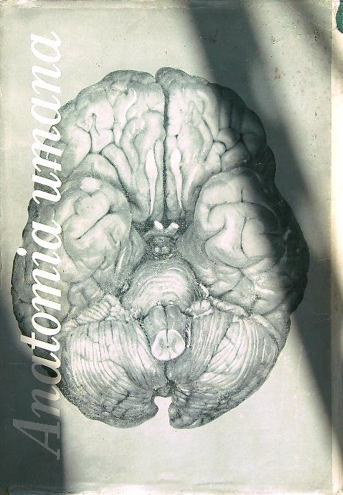 Trattato di Anatomia umana volume 2