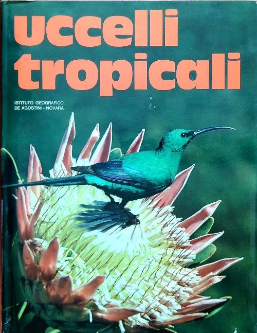 Uccelli tropicali