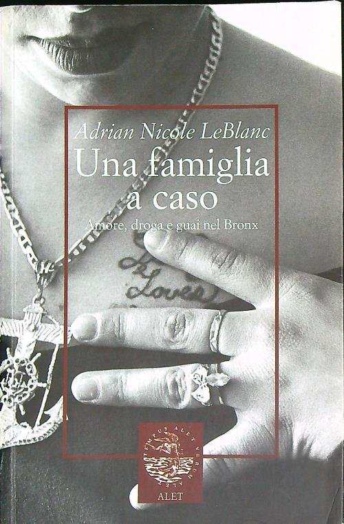 Una famiglia a caso. Amore, droga e guai nel Bronx