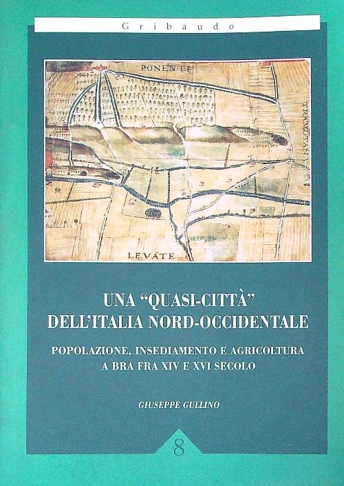 Una quasi-citta' dell'Italia nord-occidentale
