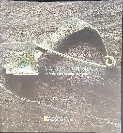 Vallis Poenina