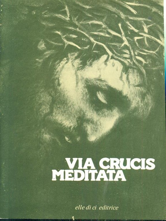 Via Crucis meditata