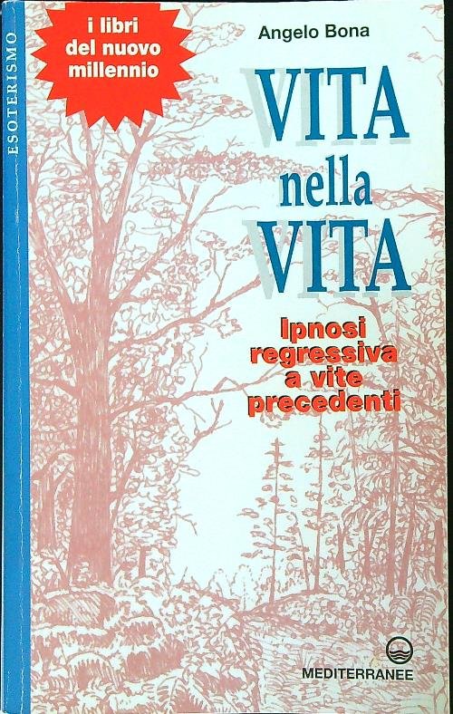 Vita nella vita. Ipnosi regressiva a vite precedenti