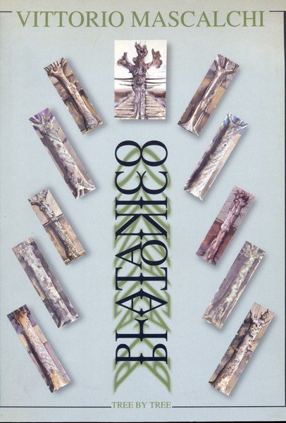 Vittorio Mascalchi. Platanico Platonico. Tree by tree | Immagine principale