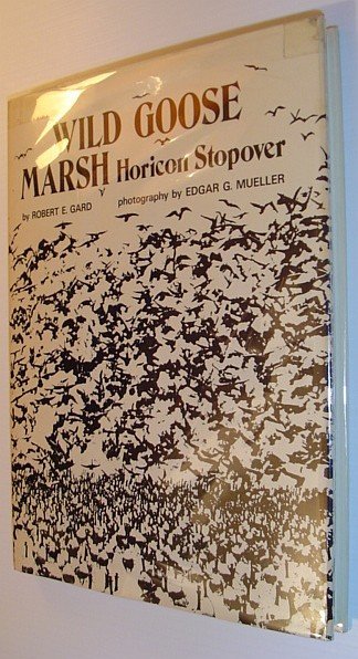 Wild Goose Marsh: Horicon Stopover
