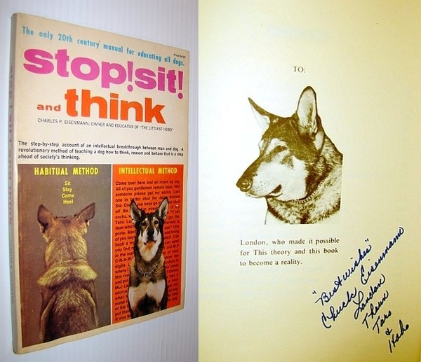 Stop! Sit! And Think