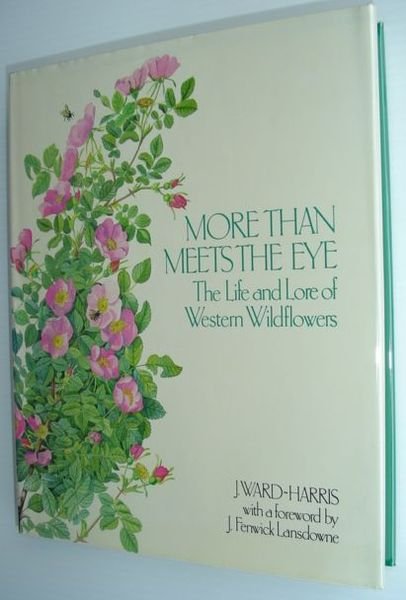 More Than Meets the Eye : The Life and Lore …