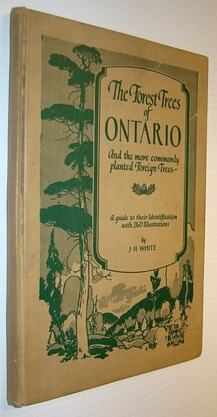 The Forest Trees of Ontario - and the More Commonly …