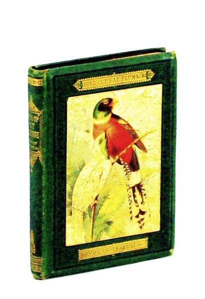 Birds of Gay Plumage: Birds of Paradise &c