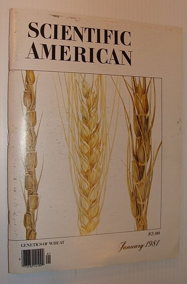Scientific American, January 1981 - Genetics of Wheat