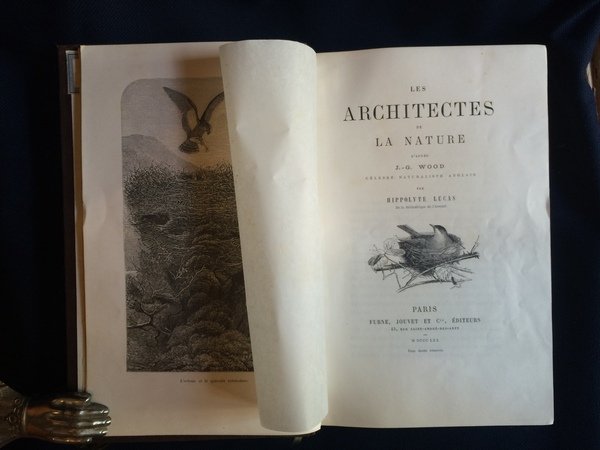 LES ARCHITECTES DE LA NATURE D'APRÈS J.-G. WOOD CÉLEBRE NATURALISTE …