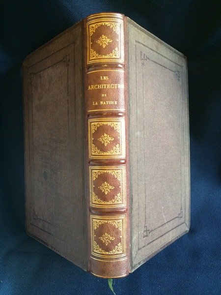 LES ARCHITECTES DE LA NATURE D'APRÈS J.-G. WOOD CÉLEBRE NATURALISTE …