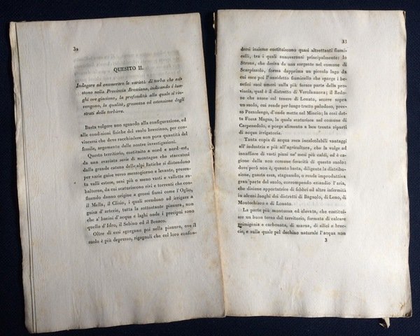 SULLA TORBA DELLA PROVINCIA BRESCIANA. MEMORIA.