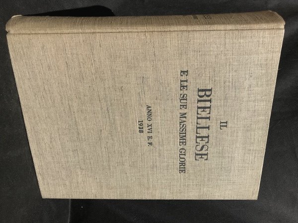 Il Biellese e le sue massime glorie. Scritti in onore …