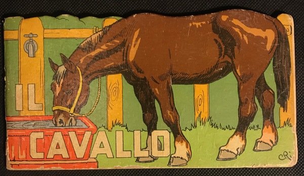 IL CAVALLO.