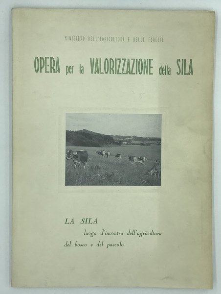 LA SILA luogo d'incontro dell'agricoltura, del bosco e del pascolo.
